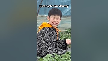 Thử Thách Quét Sạch Vườn Dâu Tây #shorts#youtubeshorts (Dương Trần Review)