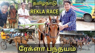 Tamilnadu Rekla race | ரேக்ளா பந்தயம் | Pongal Celebrations | Salem athur Rekla race | Horce racing