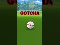 Worlds First TAPU KOKO Pokemon CAUGHT Shorts 