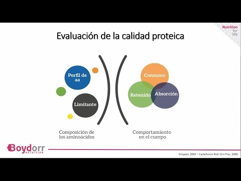 Video: Importancia De La Cantidad Y La Calidad De Las Proteínas - Nutrición Nuggets Gato