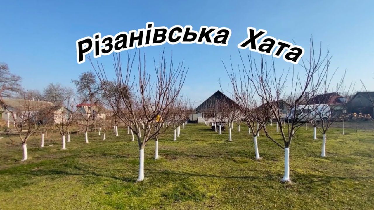 Різанівська Хата.Життя в селі. ​⁠Vlog 1@РізанівськаХата