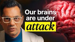 Welcome to Mind of Mistry | Neuroscience, Cognitive Health & Human Potential