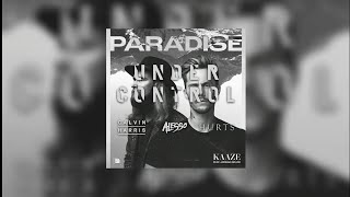 Paradise vs Under Control (KAAZE Mashup) - KAAZE feat. Jordan Grace vs Calvin Harris & Alesso...
