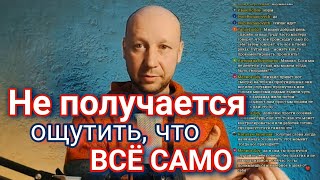 Как осознать, что всё происходит само | Инициация деятеля | #сатсанг #самоисследование #пробуждение