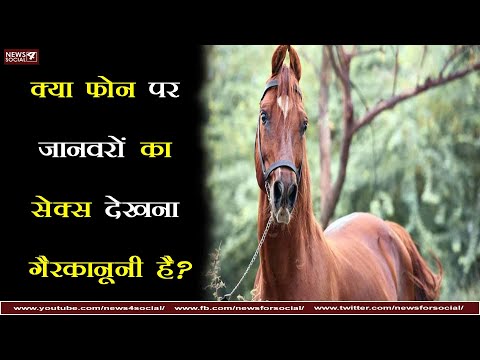 वीडियो