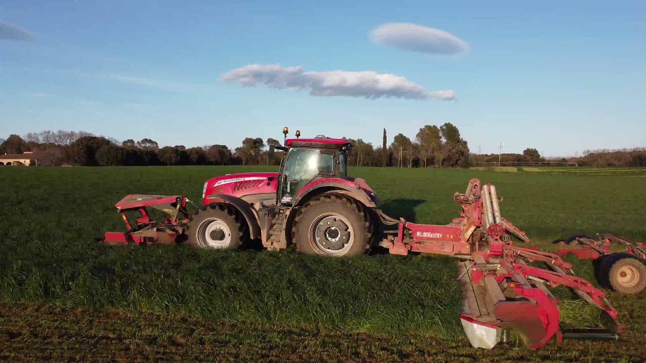 MCCORMICK X8.690 & MARTI I FERRAN & AGDURAN