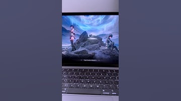 Wuthering Waves on MAC! 💻