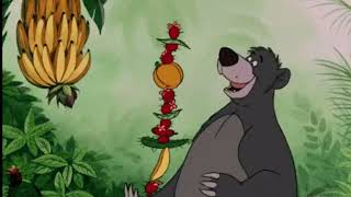 The Jungle Book | Baloo gif