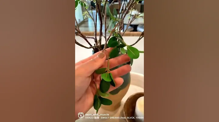 Kitchen reset  Summer refresh video coming soon to...