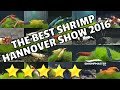 Hannover Shrimp Show 2016
