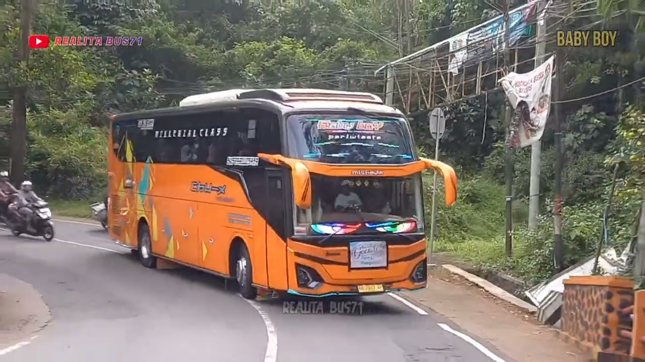 TELOLET BASURI BUS MAJALENGKA‼️ Telolet Viral Lewat Ciamis || REALITA BUS71