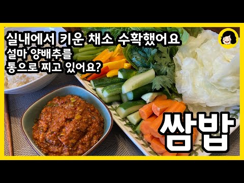 집안에서 키운 채소와 쌈밥 - 꽁치 쌈장 만들기 - 양배추 찌는법