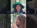 Why Mobius Loop Performs at Non-Vegan Festivals to Spread the Animal Rights Message