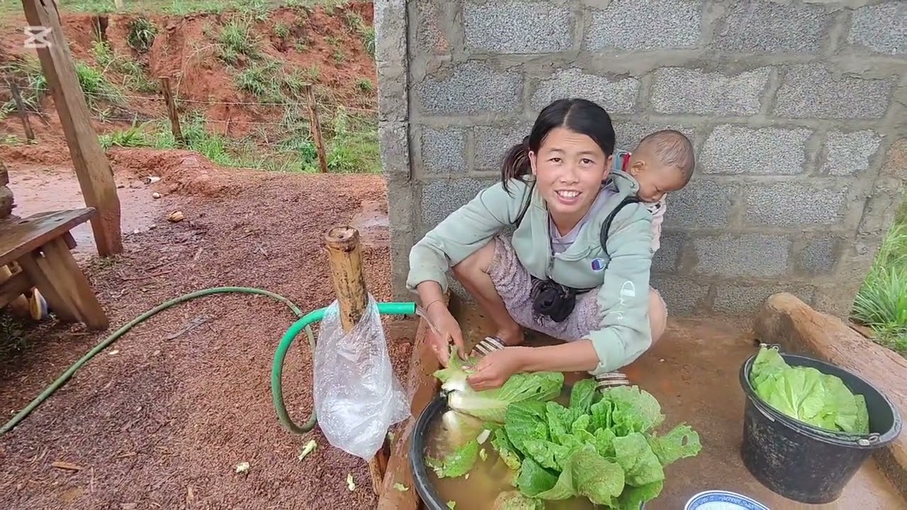 de ib qhov zaub rau noob huas nqa mus noj ua teb o 