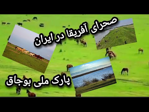 پارک ملی بوجاق واقع در منطقه ای حفاظت شده در شهر بندر کیاشهر در استان گیلان می باشد 