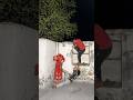 Aigiri Nandini 🚩|| jai mai🙌🏻||#jaimatadi #mahadev #mystery #mahakal #shortvideo #mataraniarti