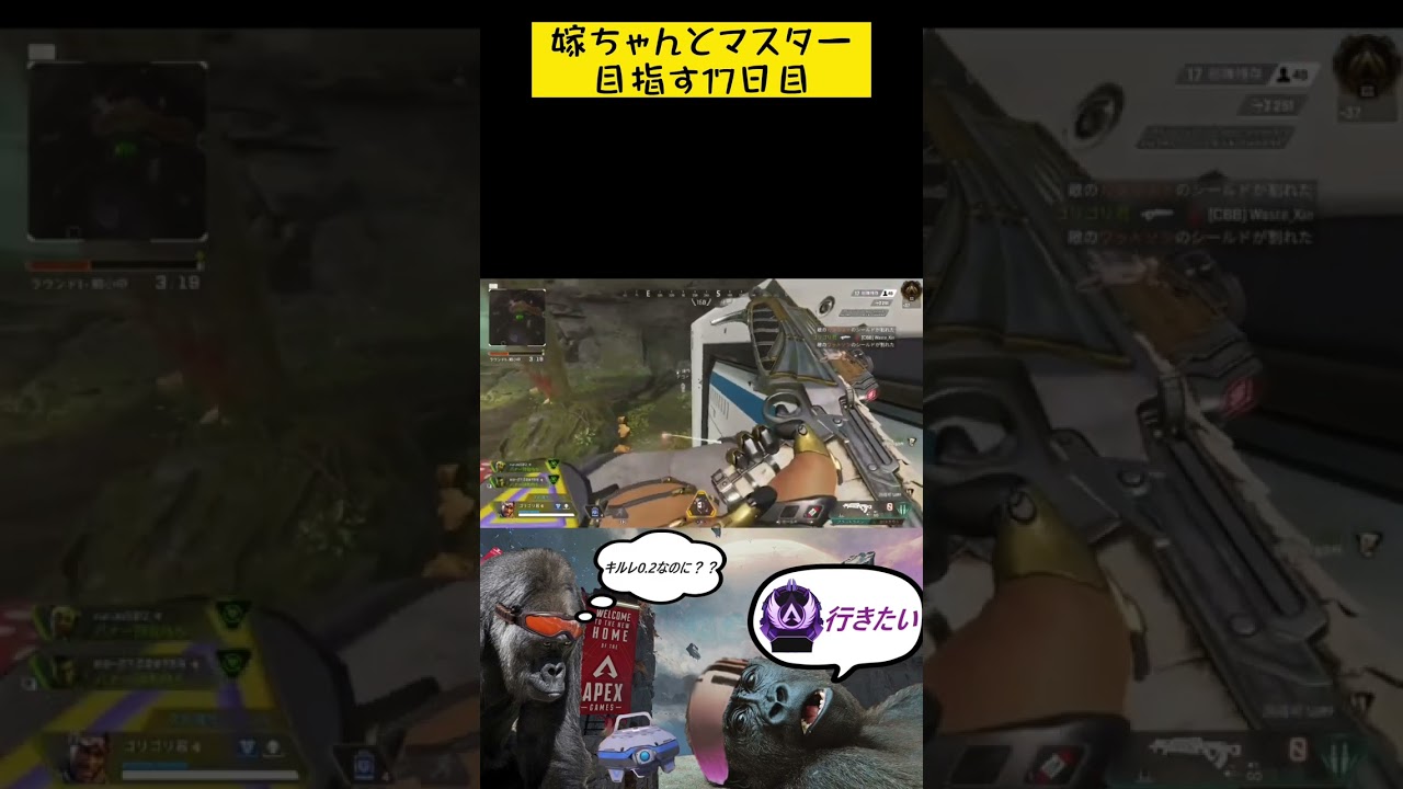 【APEX】嫁ちゃんとマスター目指す17日目 #apex #apexlegends #エーペックス #夫婦実況 #夫婦配信 #ミラージュ