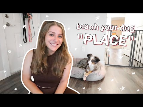 How To Teach