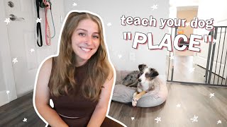 How To Teach Your Dog The "Place" Command! Get Them To Go To Their Place or Their Crate on Command!