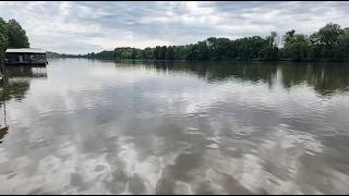 Live view of the quiet Osage River / 87 Mile Marker Lake of the Ozarks, birds and nature sounds.