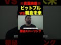 朝倉未来vsピットブル 極秘スパーリング貴重映像【超RIZIN.2/切り抜き】