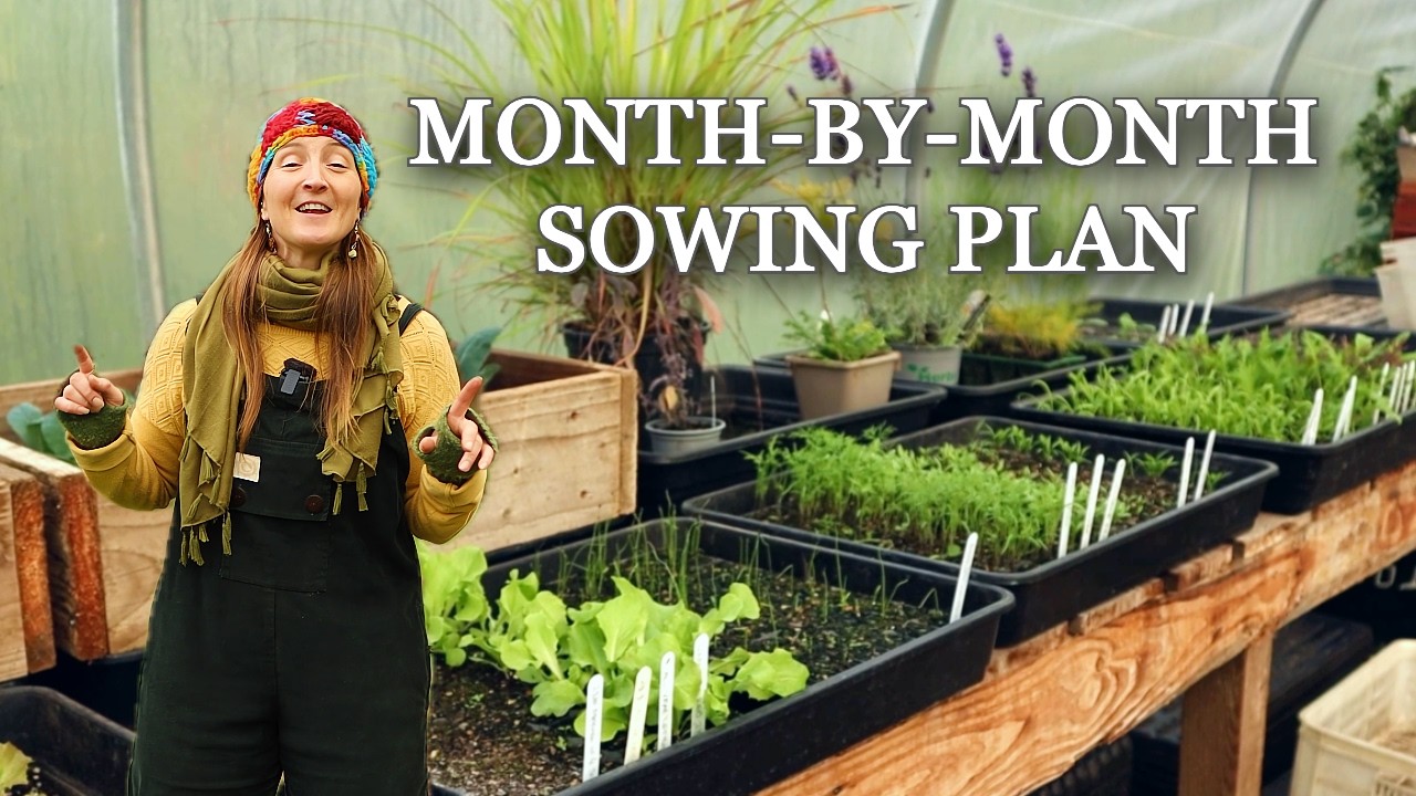 Что сеять каждый месяц | Простое руководство по посеву семян овощей (зона 9a в Великобритании)