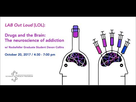[LOL] Drugs and the Brain: The neuroscience of addiction