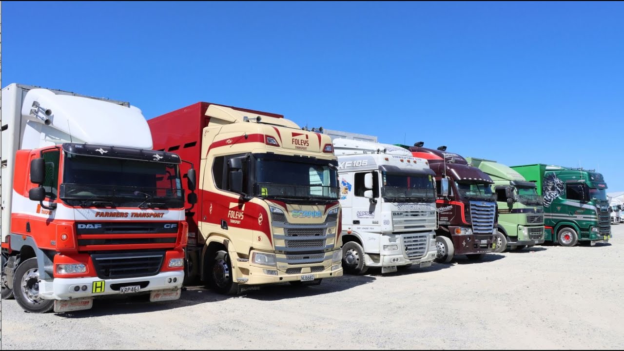 A day in the Feilding Sale Yards P-2, February 2025.