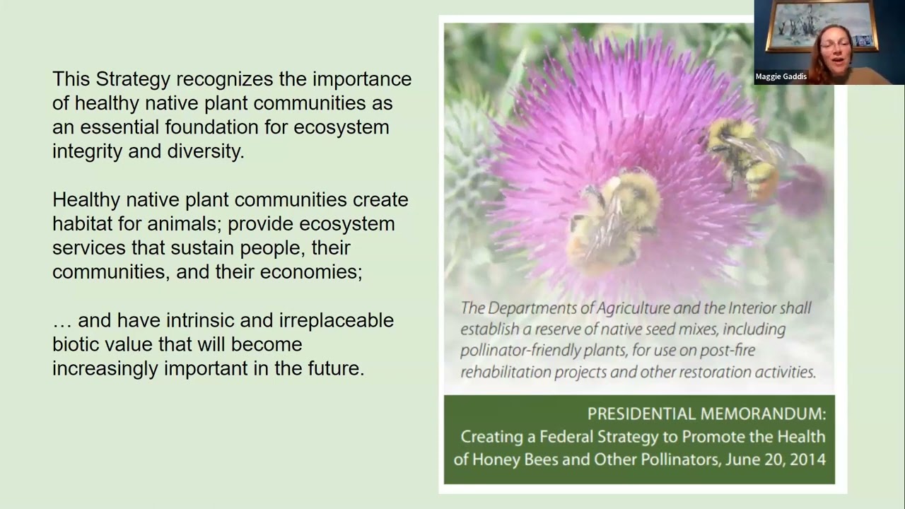 National Seed Strategy