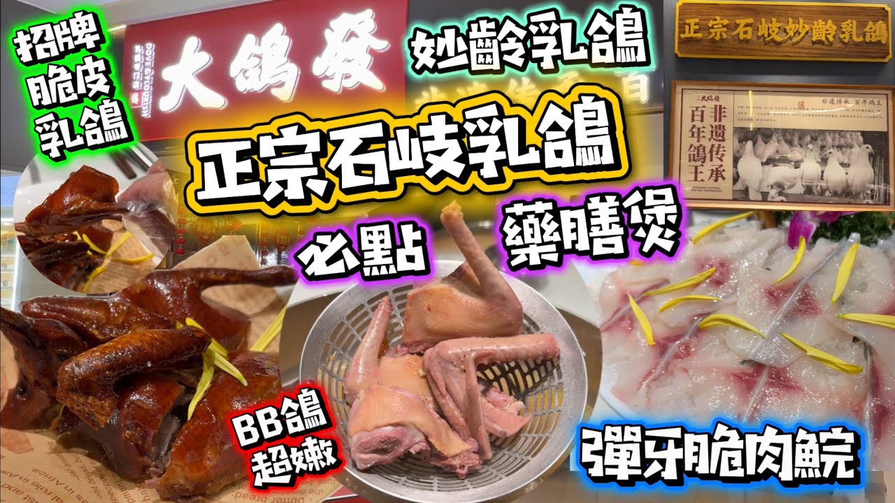 大鴿發|正宗石岐乳鴿|藥膳煲必試|招牌脆皮乳鴿|再試彈牙鯇肉魚片 #公仔頭一家 #大鴿發 #乳鴿 #石岐乳鴿 #脆肉鯇 #不一樣食法