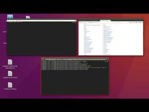 puppet 09 resource type file
