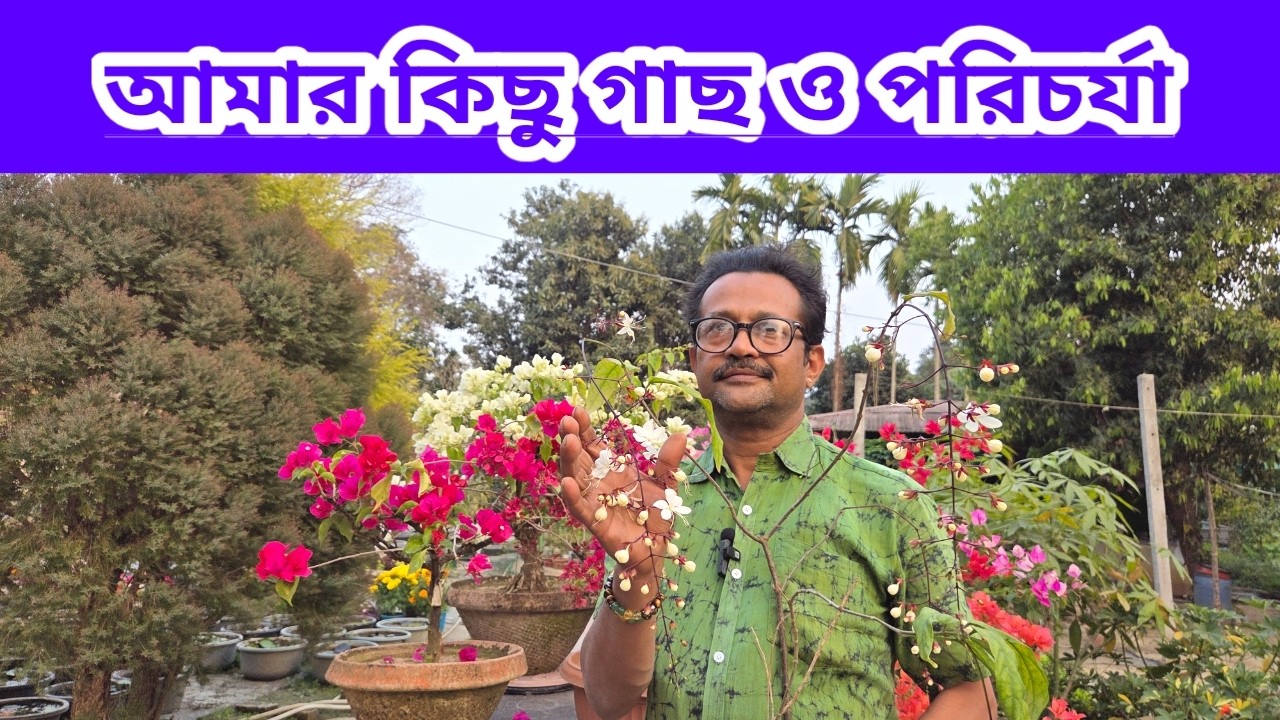 আমার কিছু গাছ ও পরিচর্যা||My Some Plants And Care||