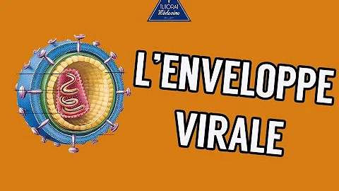 Comment s'appelle l'enveloppe des virus ?