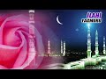Relaxing and calming Islamic English Songs 2024  (New)