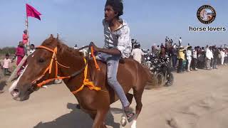 Masitiya Kamrudin Baba Ke Urs Pe Hone Vali Horse Race Chhote Ghode Ki Race 15042024