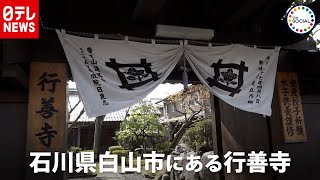 みんな一緒！“ごちゃまぜ”で笑顔になれる寺　『the SOCIAL』傑作選（2019年4月16日放送より）