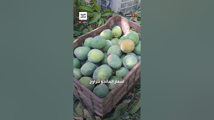 مانجو الأقصر.. حصاد وفير يغزو الأسواق المحلية ويصدر للعالم بأكثر من 27 صنفًا فريدًا