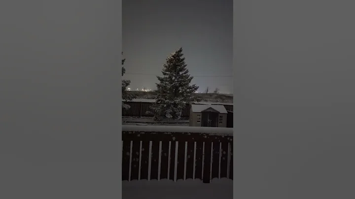 First snow Fall ❄️❄️