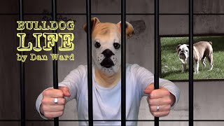 Video thumbnail of "Dan Ward - Bulldog Life (Music Video)"