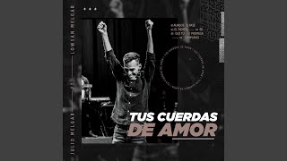 Tus Cuerdas de Amor (feat. Lowsan Melgar)