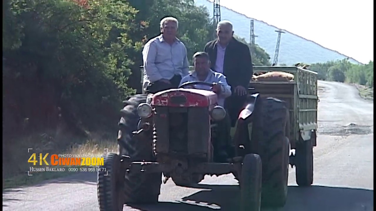 موسم قطف الزيتون بمنطقة عفرين خلينا نرجع للماضي ونتذكرايام الزيتون مركزجوان حسين بكلرو