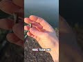 If you're not lucky enough to have limitless skipping stones, do this 🪨 #rockskipping #nature #rocks