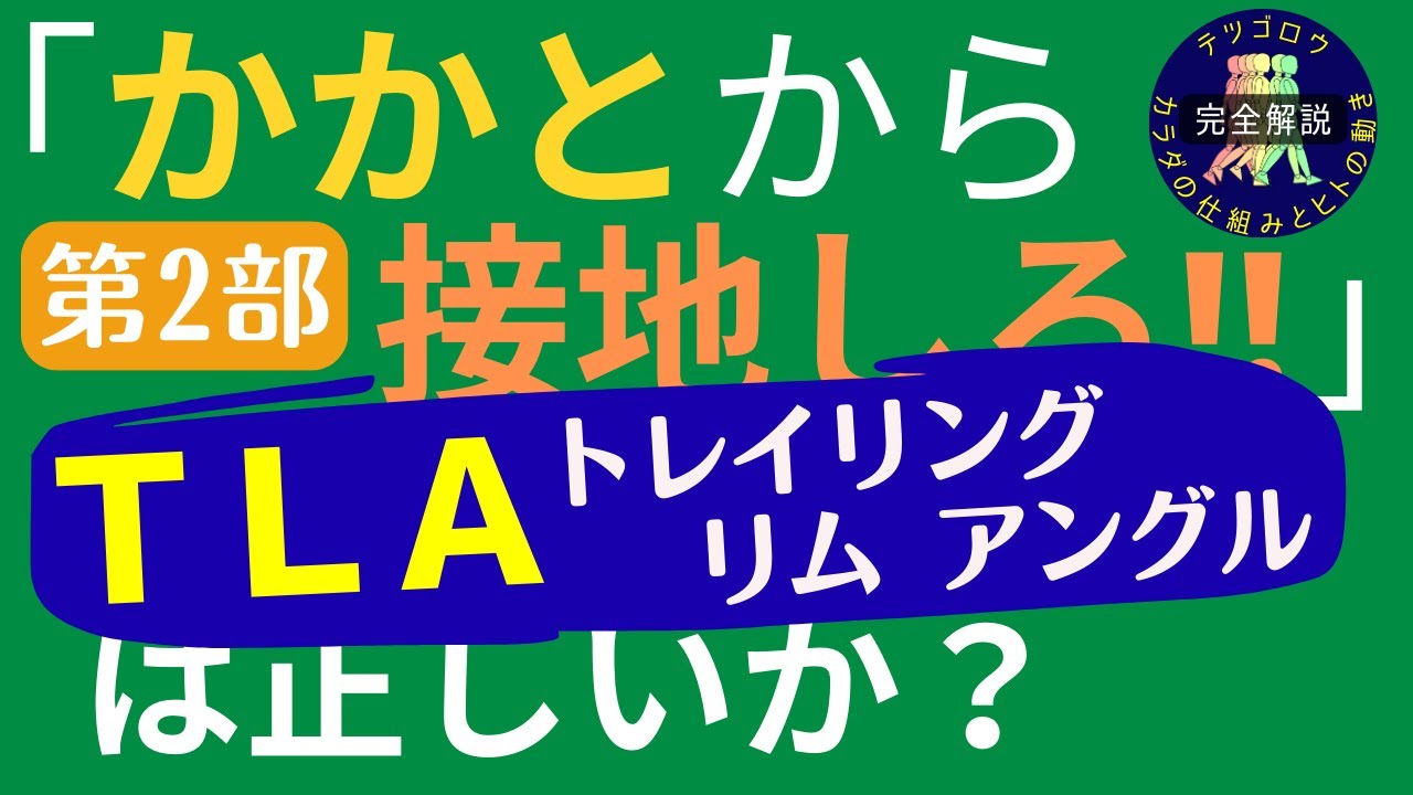 【完全解説】正常歩行のメカニズム ｢かかとから接地しろ!!｣は正しいか？(第2部)床反力ベクトル前方成分増大のメカニズム(総論)－股関節伸展とヒールライズ－