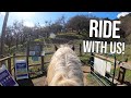 Draft Horse Trail Riding