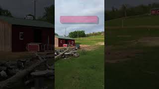 Hilarious Emu Chases Drone Around Pasture!