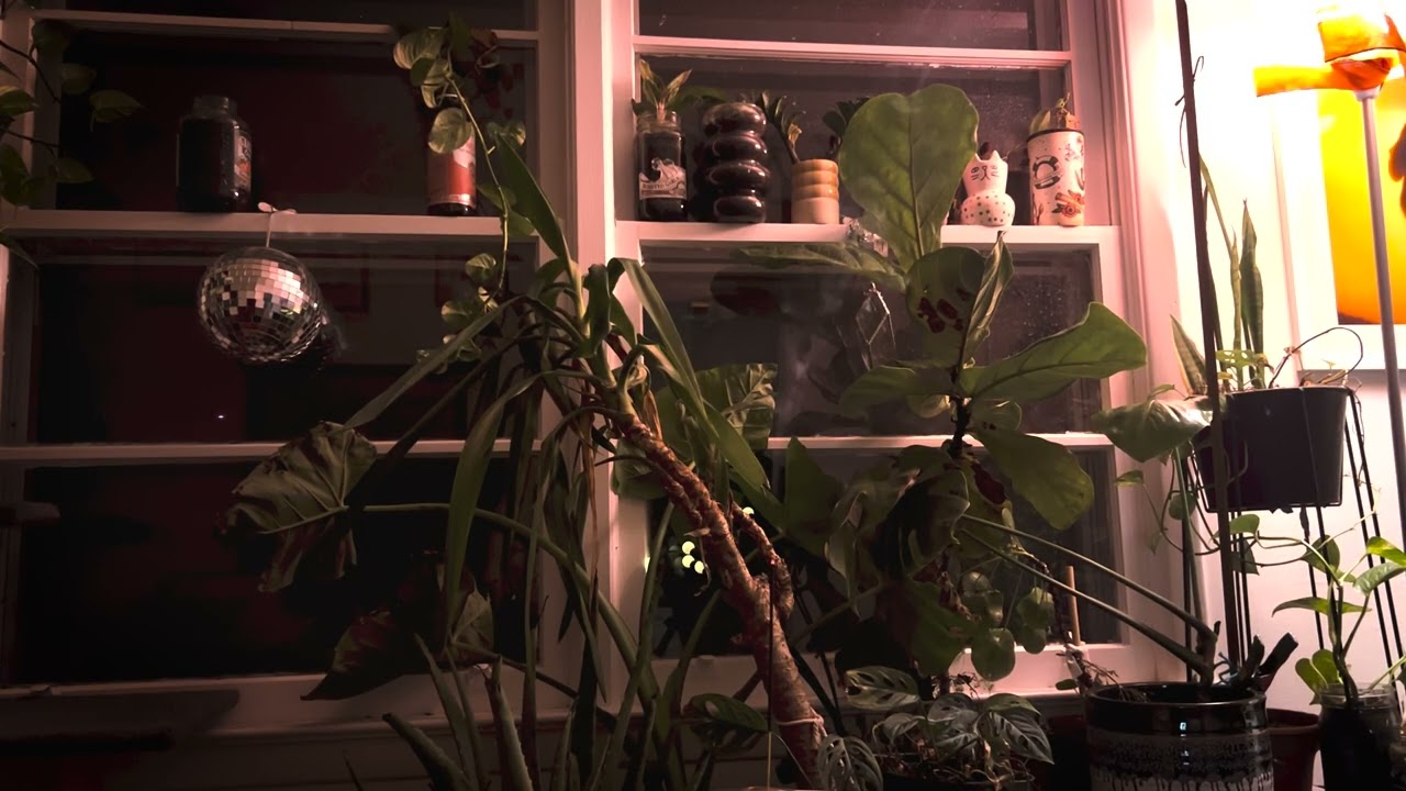 AMBIENT STUDY MUSIC JAM SESSION