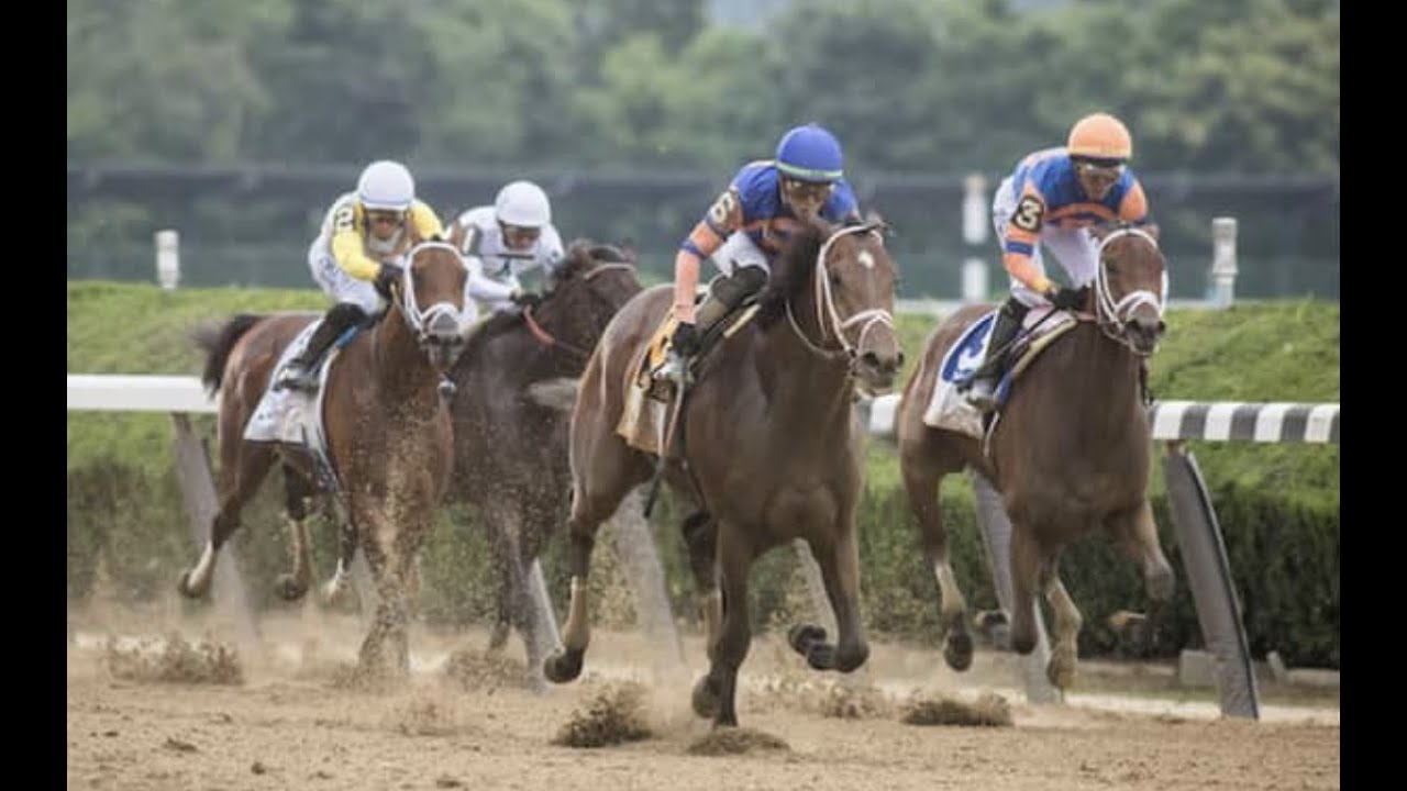 Belmont Stakes 2022 Recap