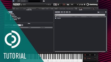 How to Save Presets | Advanced Features in Padshop 2