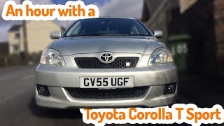 Toyota Corolla T Sport. Civic TYPE R Alternative?