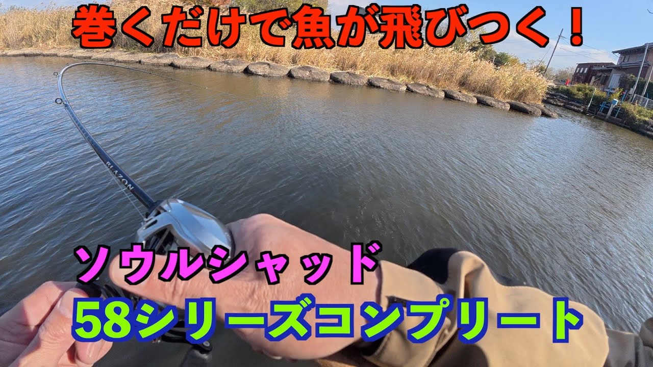 必ず試して種類違いのソウルシャッド「五三川」